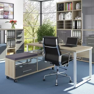 Schreibtisch Kombination Mit Rollcontainer – Xedno (zweiteilig) 12